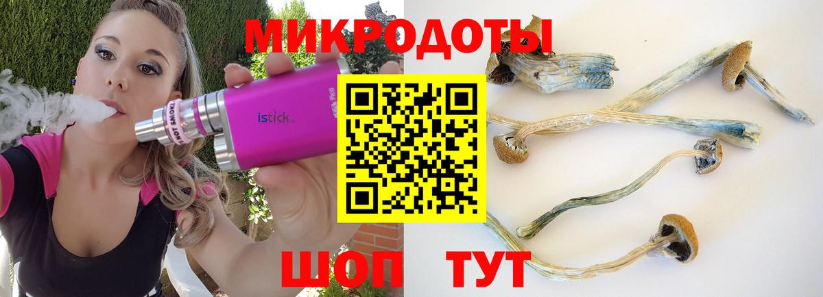 Псилоцибиновые грибы мухоморы  Вход с VPN  что такое   Кемерово 